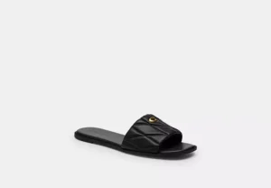 cef42_blk_a0 COA